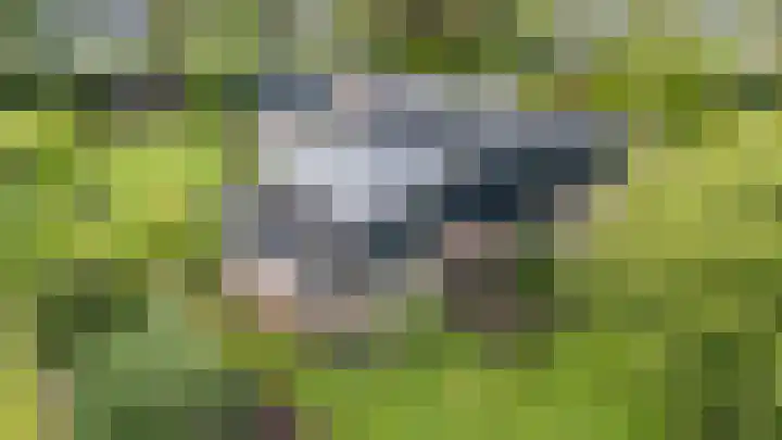 Calèchelaan 2 Leek thumbnail 78