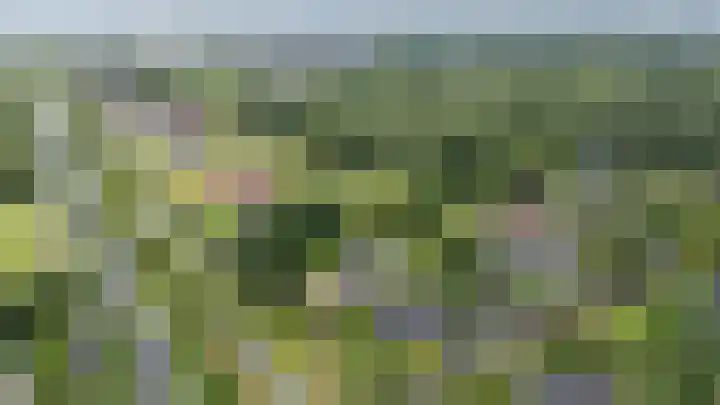 Calèchelaan 2 Leek thumbnail 79