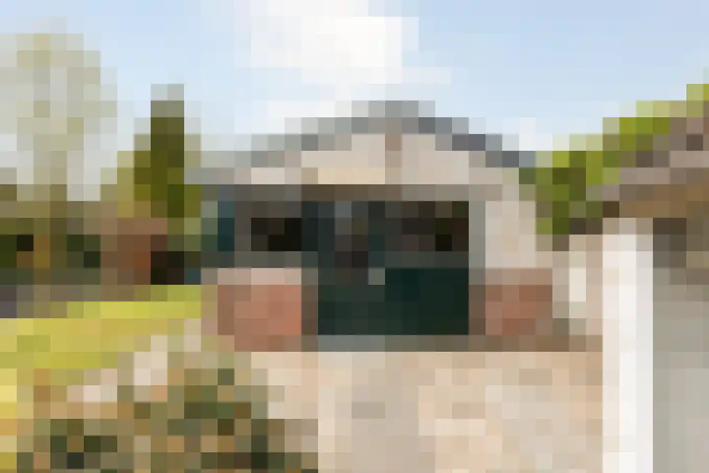 Calfven 133 Ossendrecht thumbnail 38