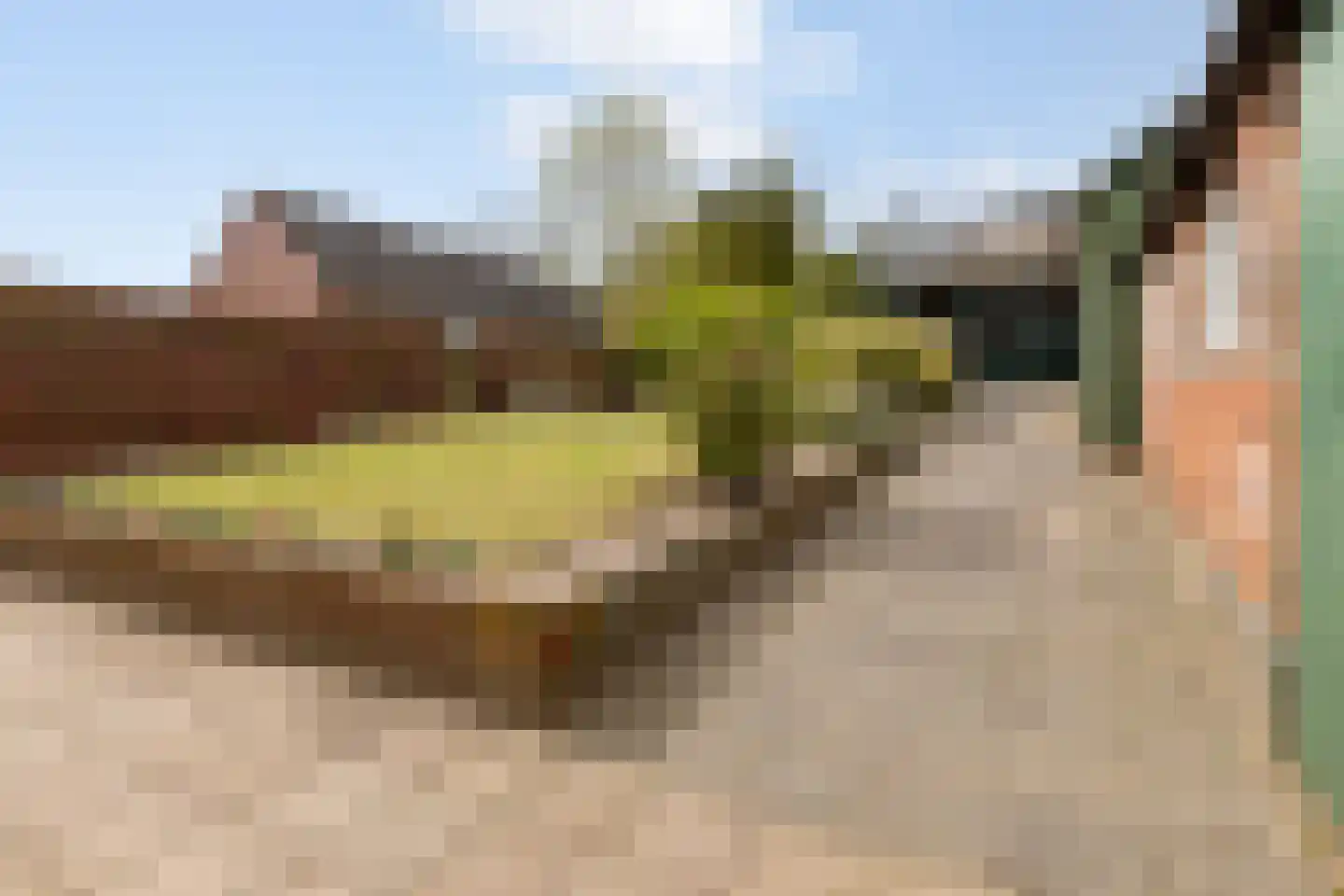 Calfven 133 Ossendrecht thumbnail 47