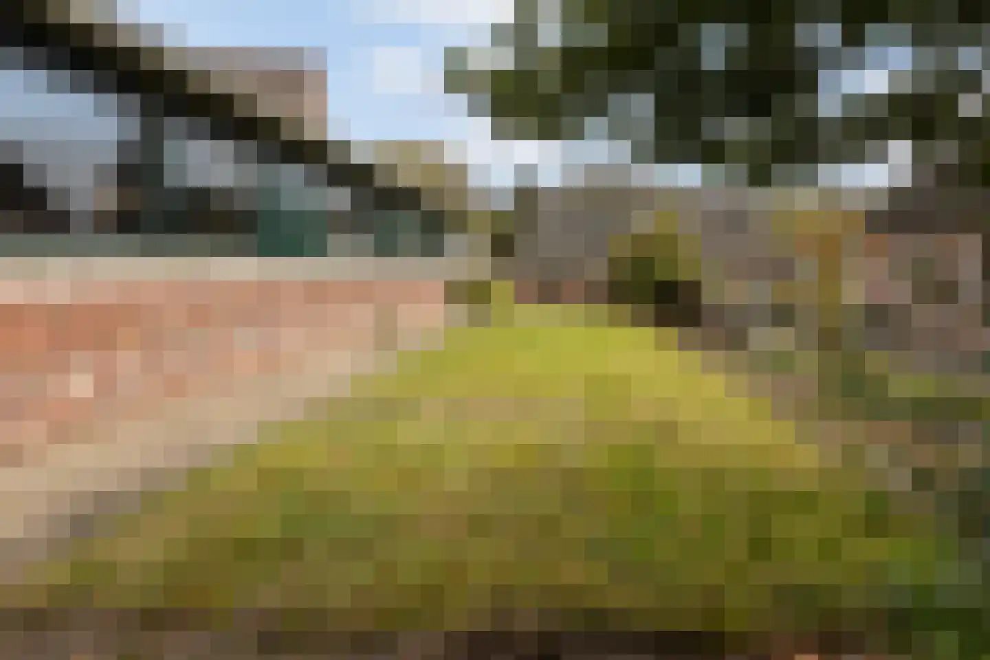 Calfven 133 Ossendrecht thumbnail 50