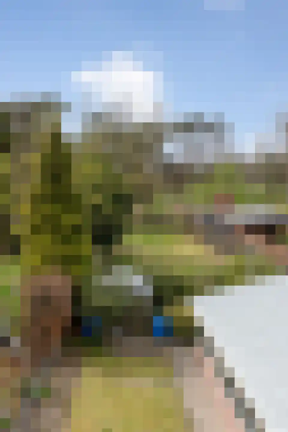Calfven 133 Ossendrecht thumbnail 51