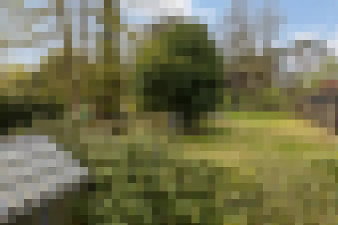 Calfven 133 Ossendrecht thumbnail 54