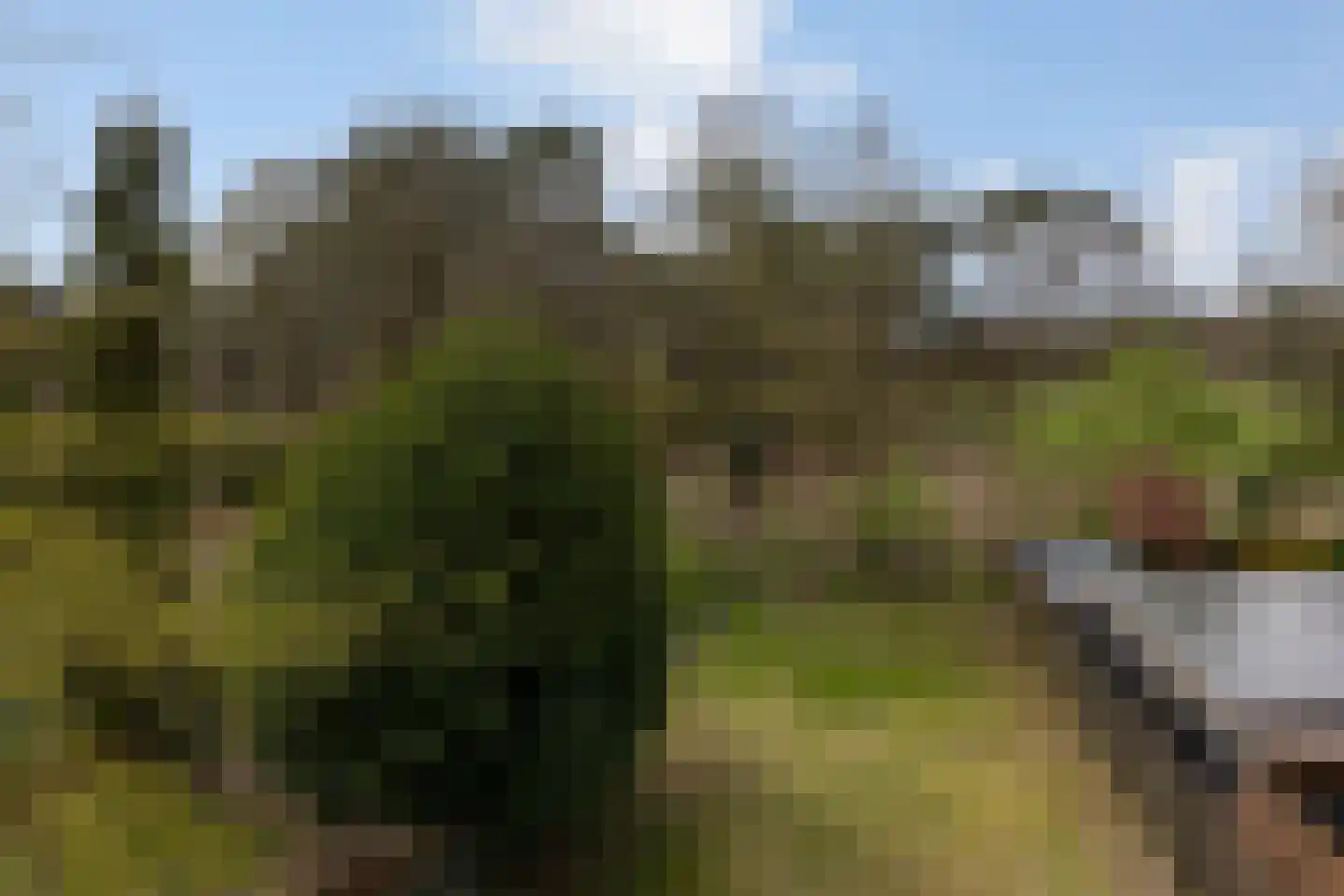 Calfven 133 Ossendrecht thumbnail 55