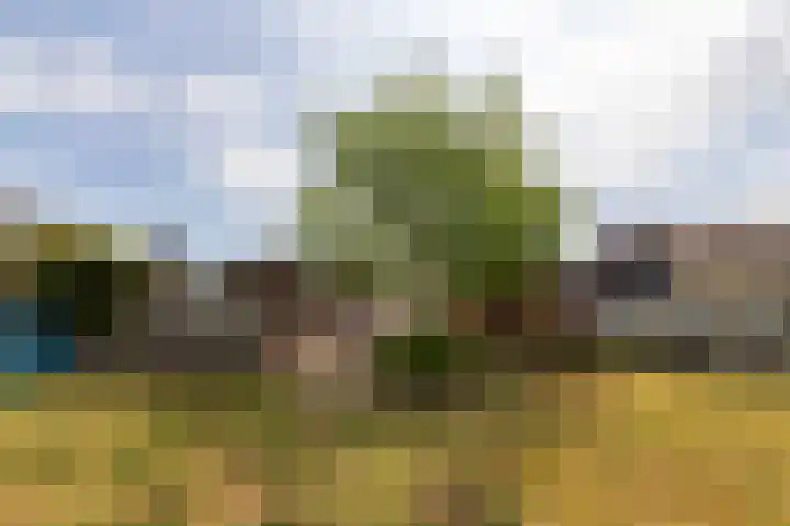 Calfven 189 Ossendrecht thumbnail 35