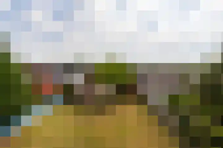 Calfven 189 Ossendrecht thumbnail 40