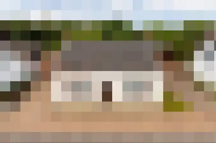 Calfven 189 Ossendrecht thumbnail 42