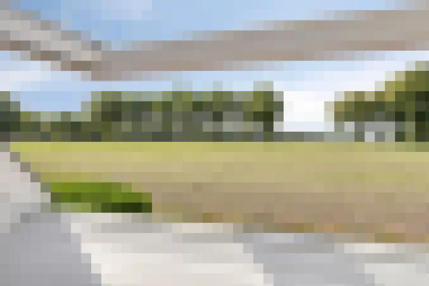 Calfven 50 Ossendrecht thumbnail 28