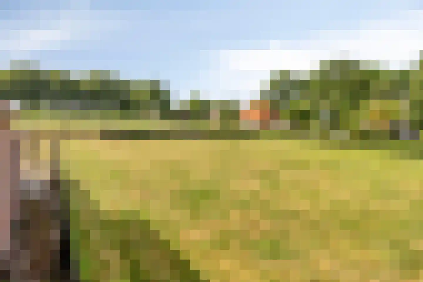 Calfven 50 Ossendrecht thumbnail 52