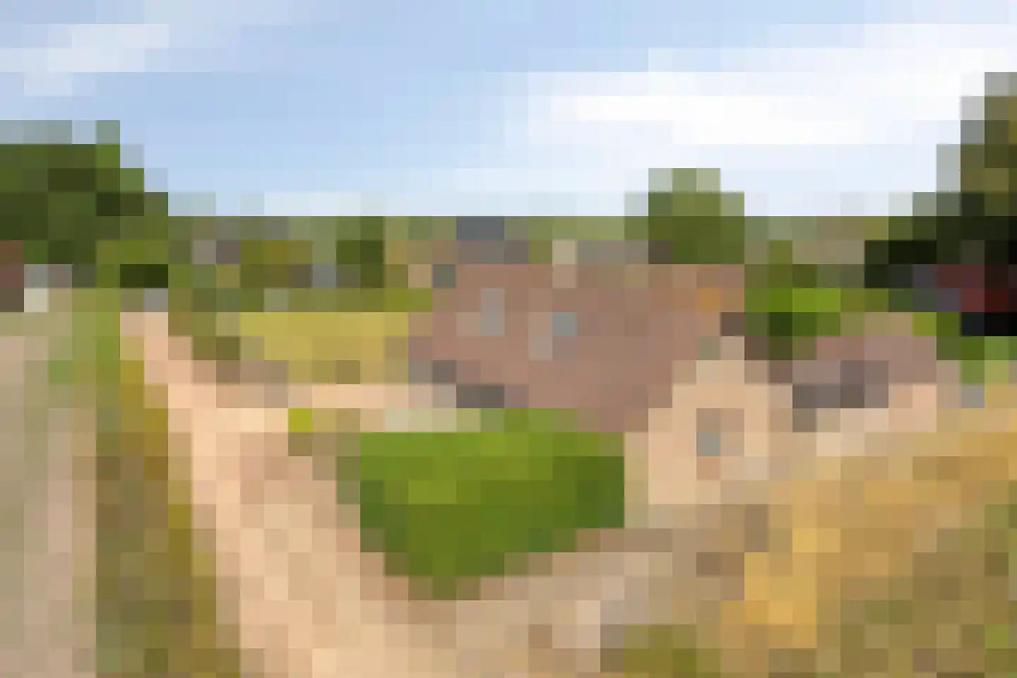 Calfven 50 Ossendrecht thumbnail 57