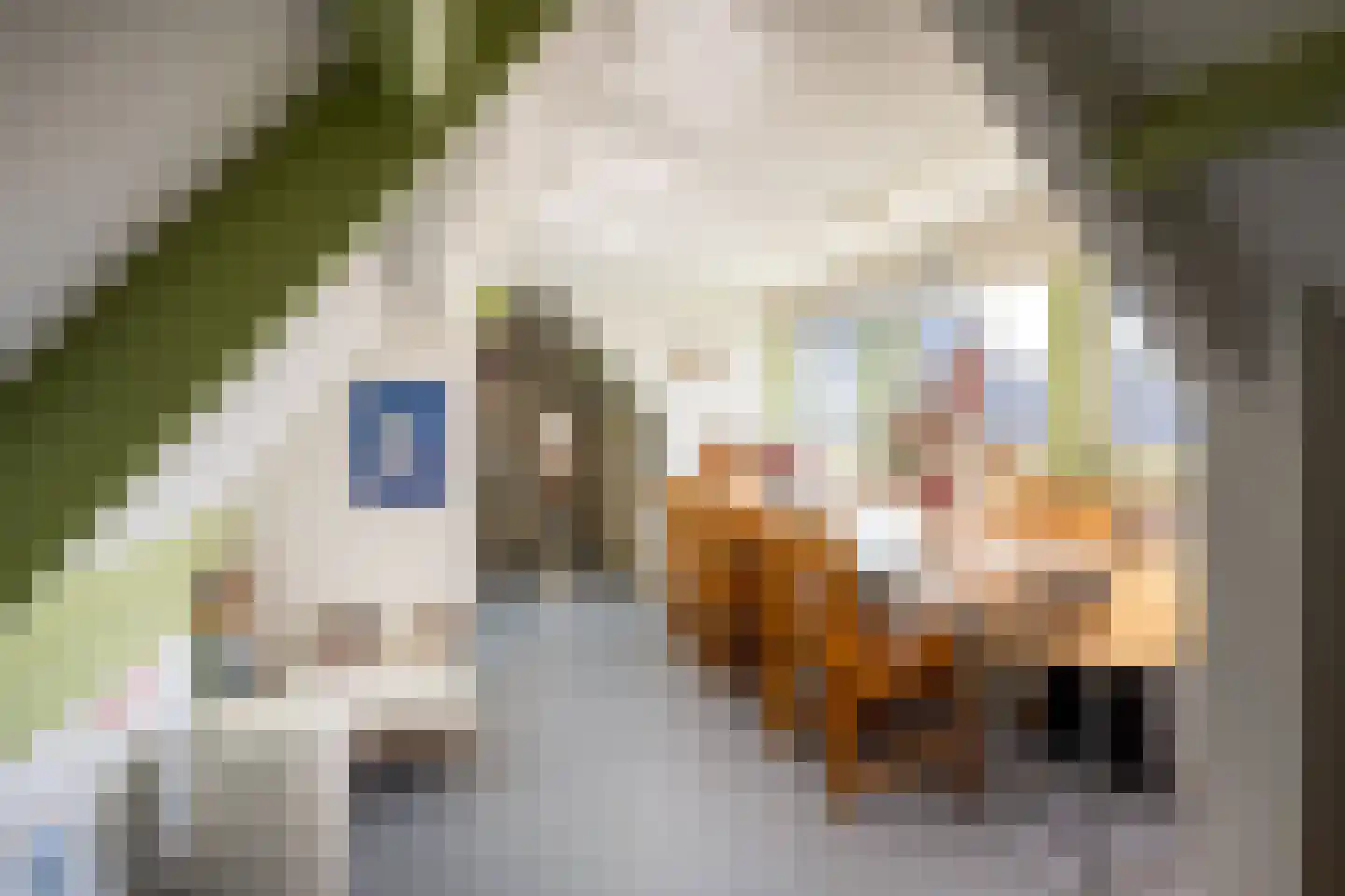 Calfven 91 Ossendrecht thumbnail 32