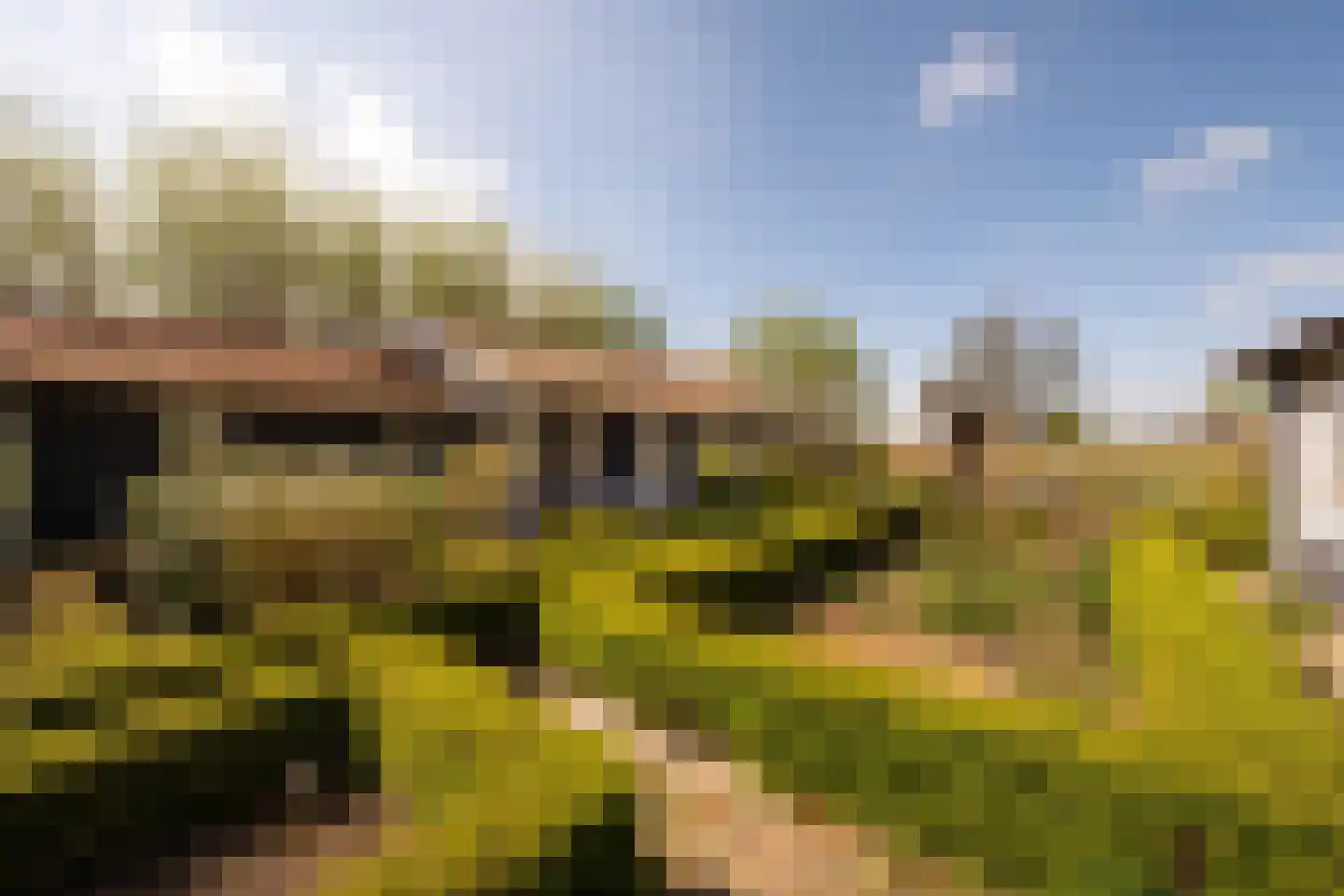 Calfven 91 Ossendrecht thumbnail 43