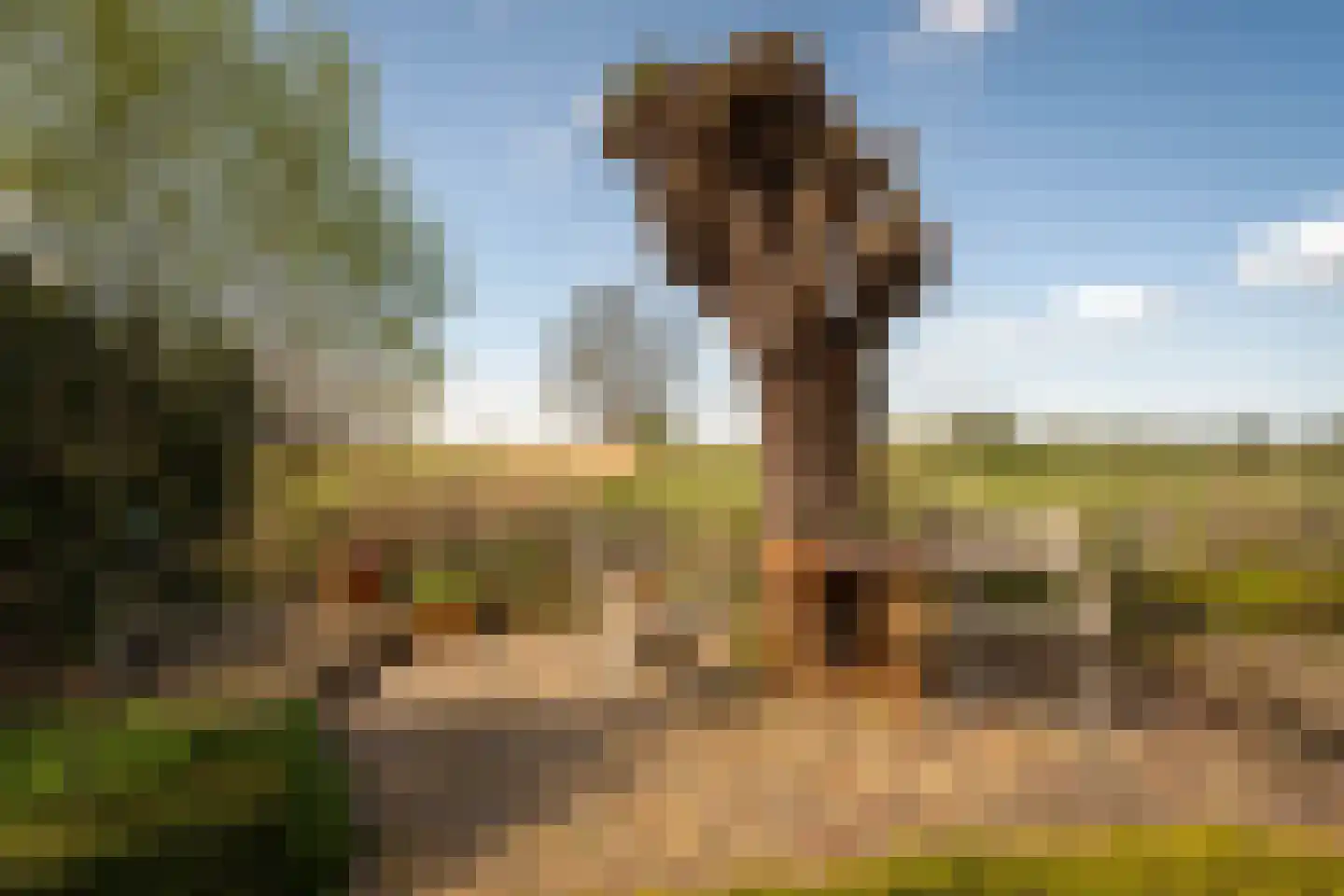 Calfven 91 Ossendrecht thumbnail 44