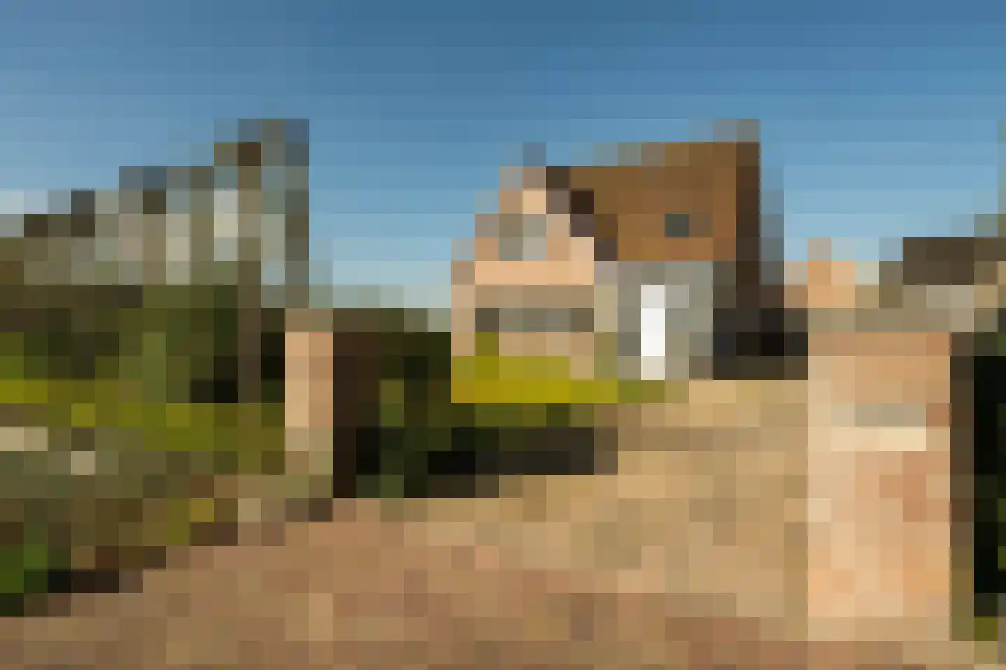Calfven 91 Ossendrecht thumbnail 5