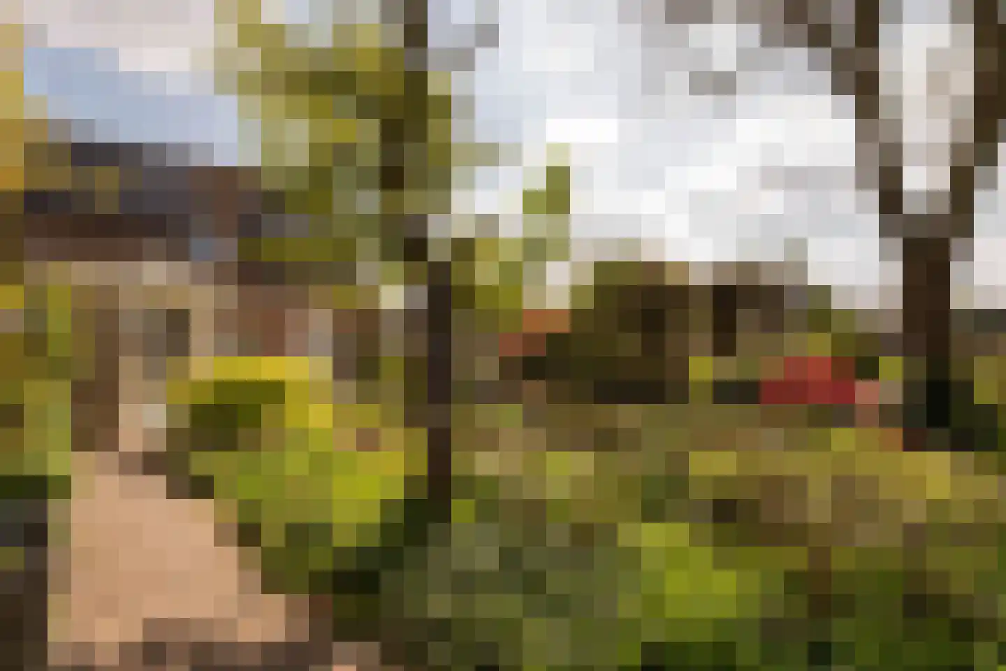 Calfven 91 Ossendrecht thumbnail 53