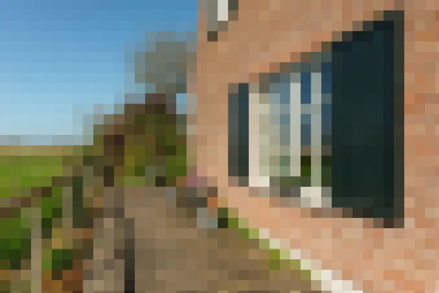 Calfven 91 Ossendrecht thumbnail 54