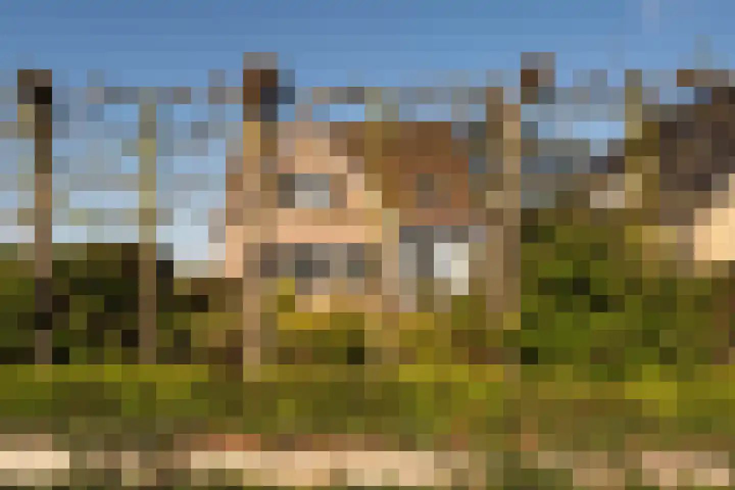 Calfven 91 Ossendrecht thumbnail 56