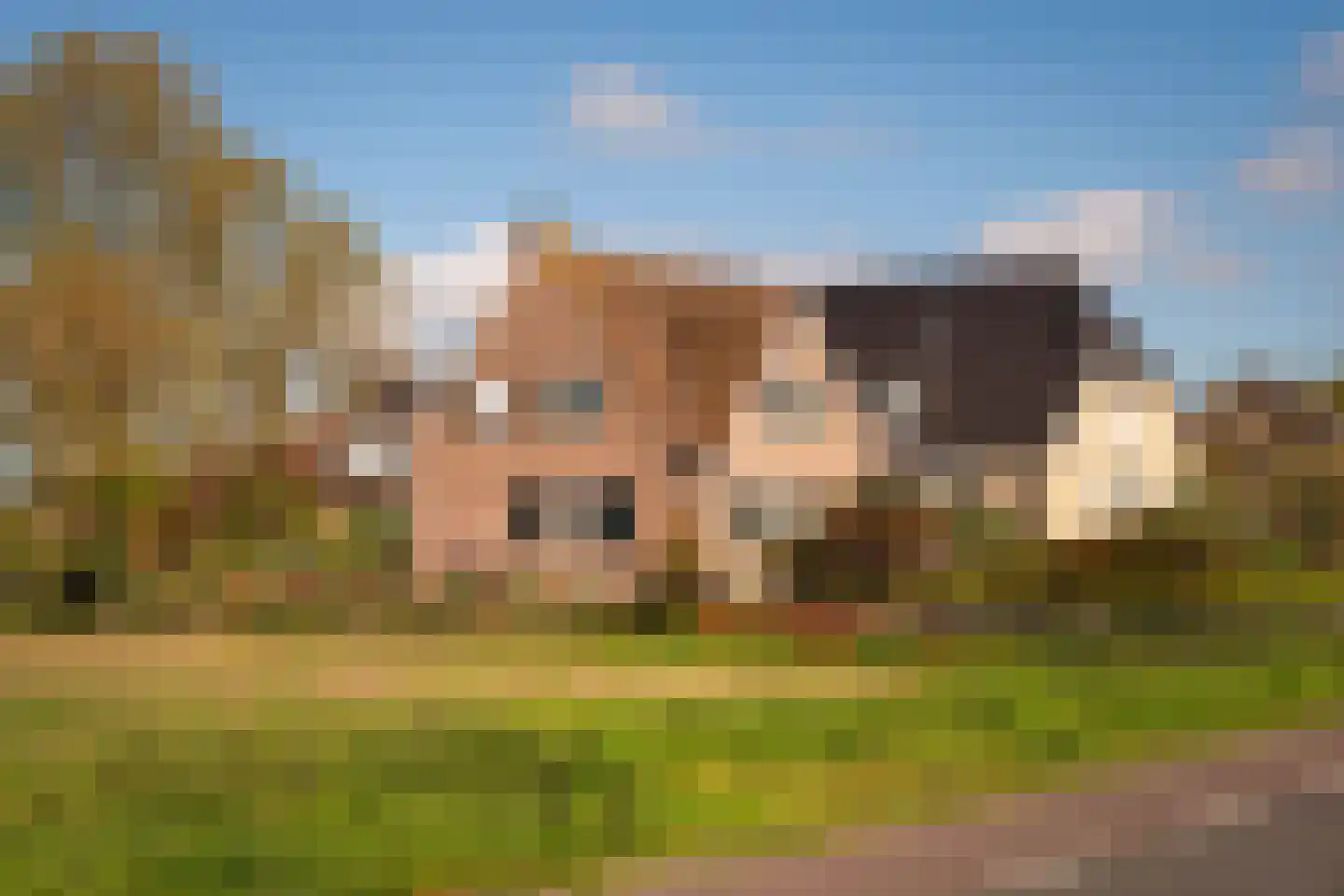 Calfven 91 Ossendrecht thumbnail 58