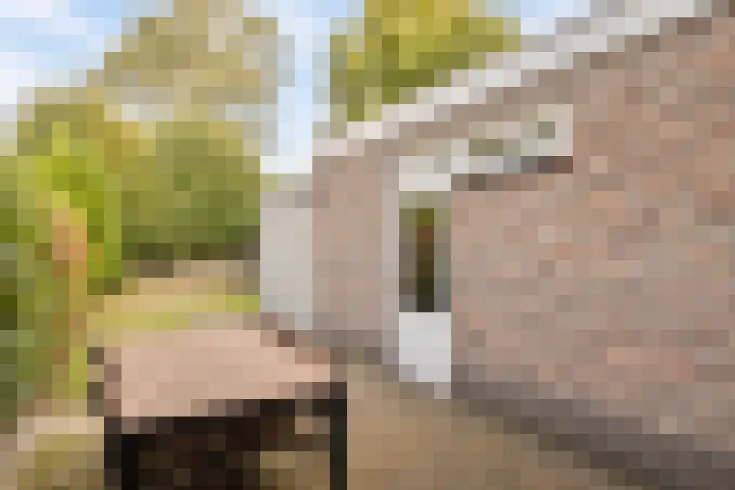 Calfvense Bosloop 7 Tilburg thumbnail 30