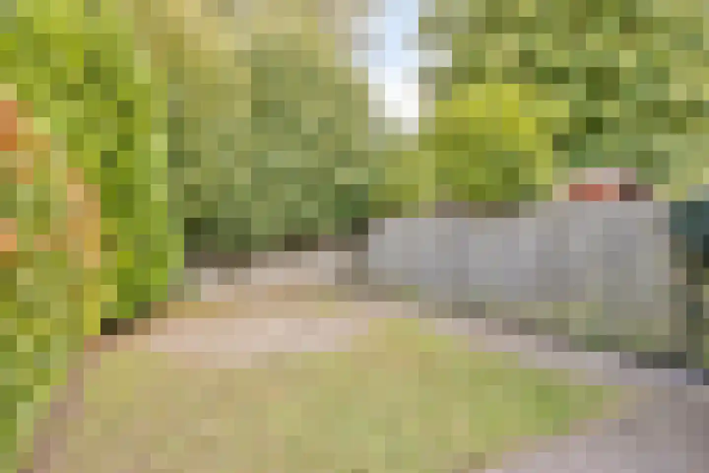 Calfvense Bosloop 7 Tilburg thumbnail 31
