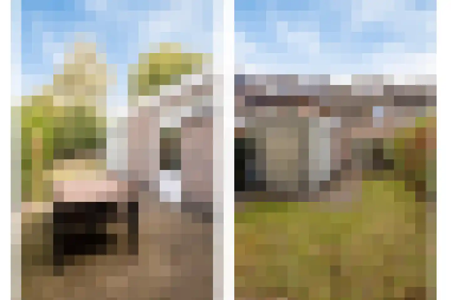 Calfvense Bosloop 7 Tilburg thumbnail 32
