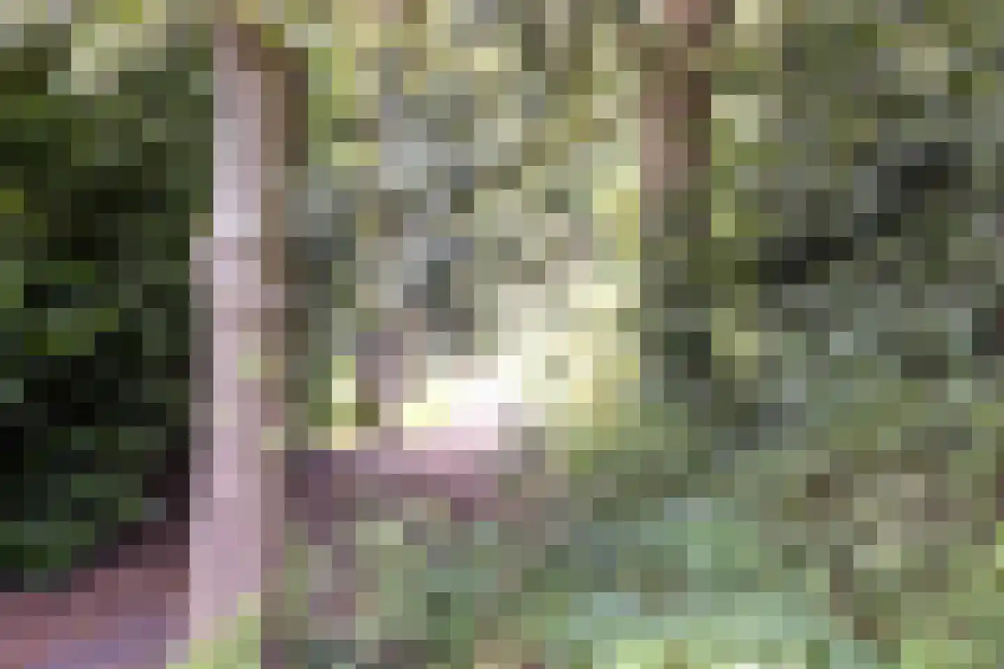 Calfvense Bosloop 7 Tilburg thumbnail 37