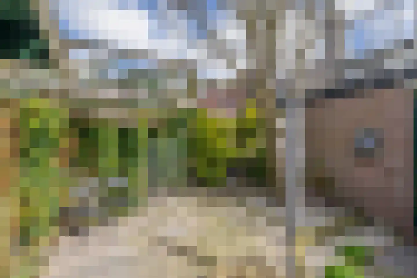 Californiestraat 15 Den Helder thumbnail 12