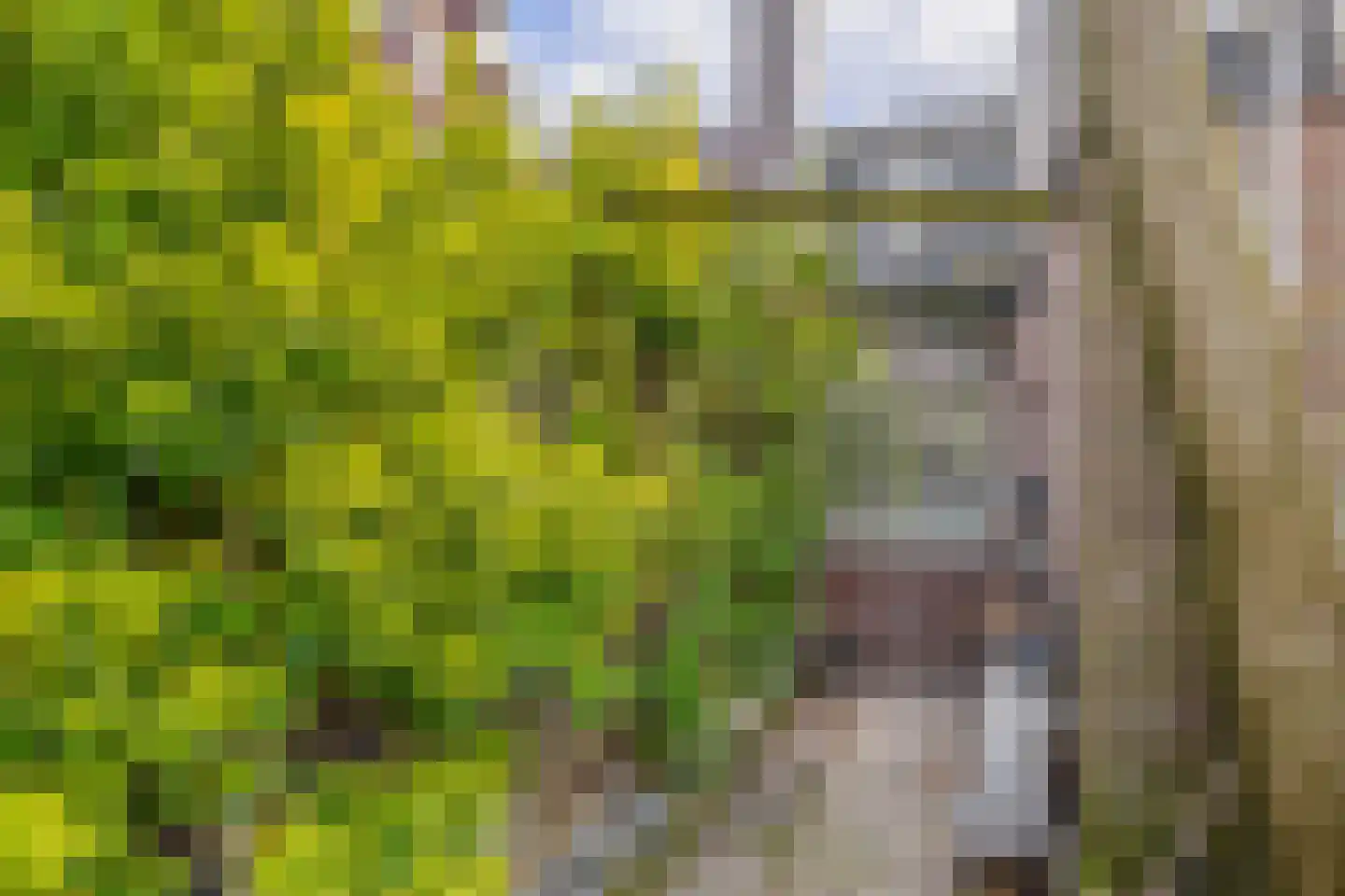 Californiestraat 15 Den Helder thumbnail 14