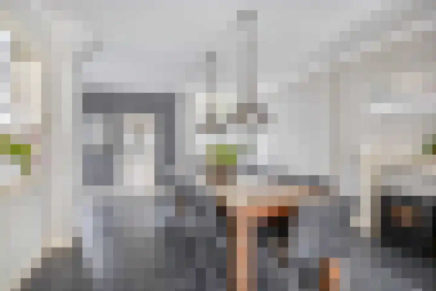 Californiestraat 15 Den Helder thumbnail 7