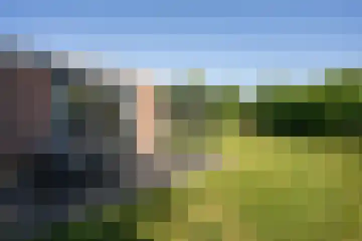 Californiëweg 145 De Koog thumbnail 27