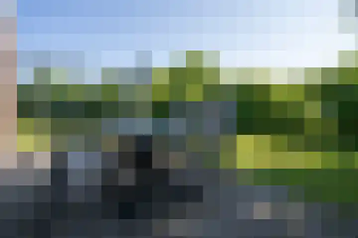 Californiëweg 145 De Koog thumbnail 28