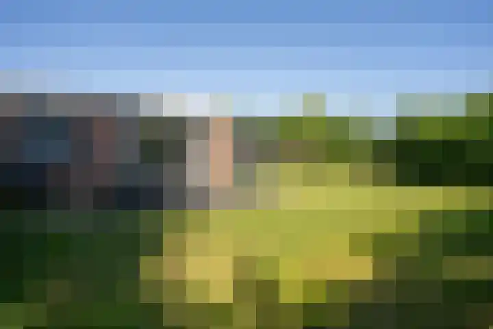 Californiëweg 145 De Koog thumbnail 29