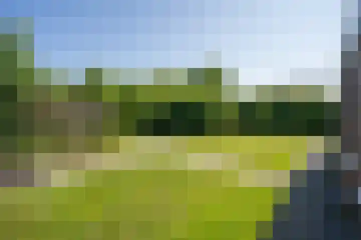 Californiëweg 145 De Koog thumbnail 32