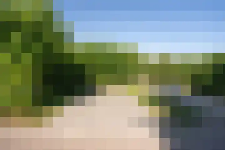 Californiëweg 145 De Koog thumbnail 34