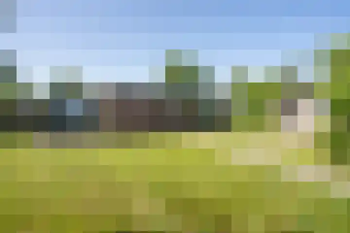 Californiëweg 145 De Koog thumbnail 39