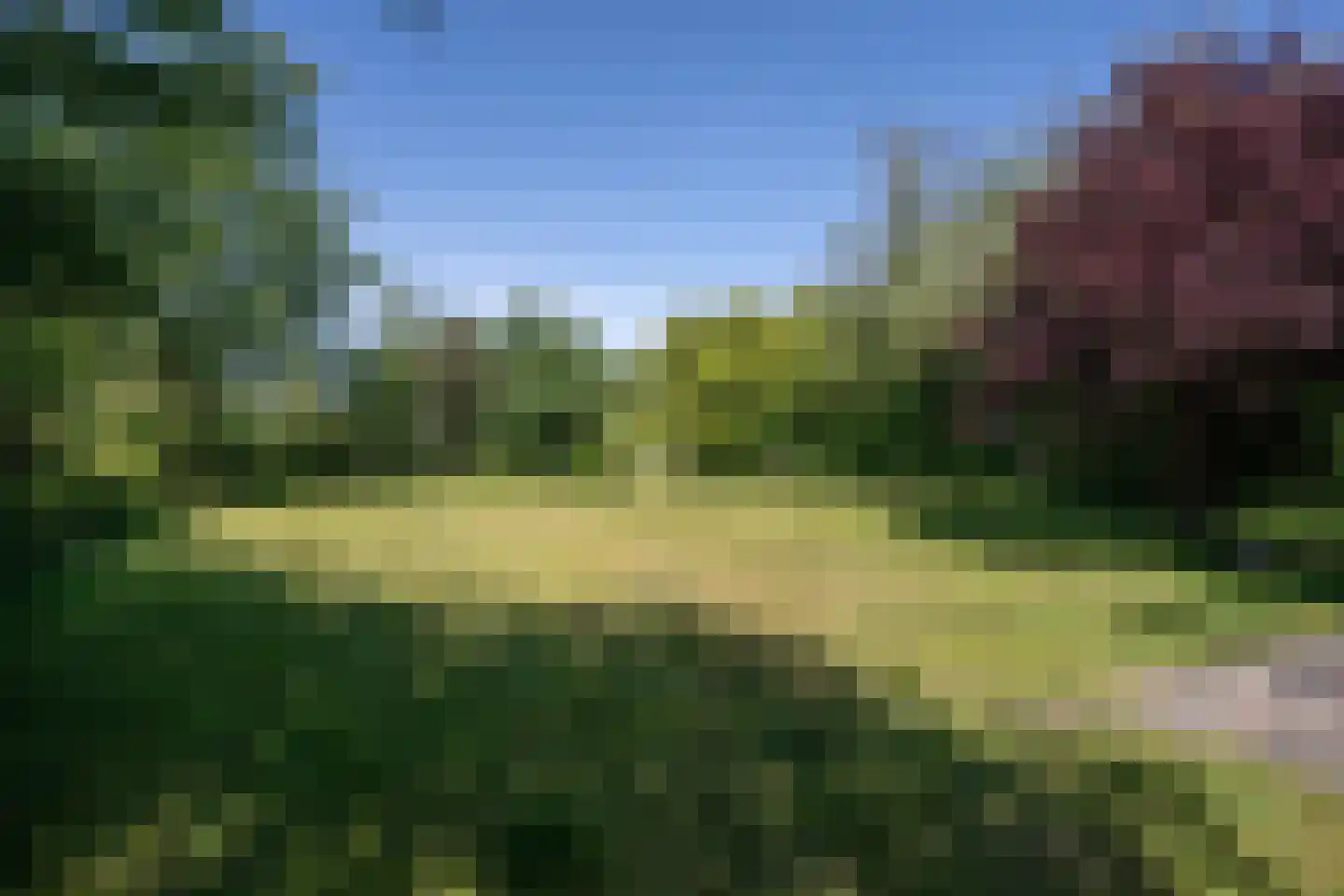 Californiëweg 167 De Koog thumbnail 23