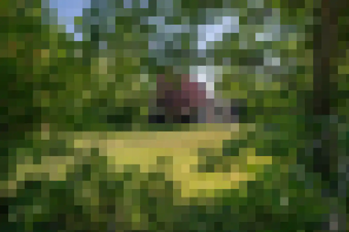 Californiëweg 167 De Koog thumbnail 30
