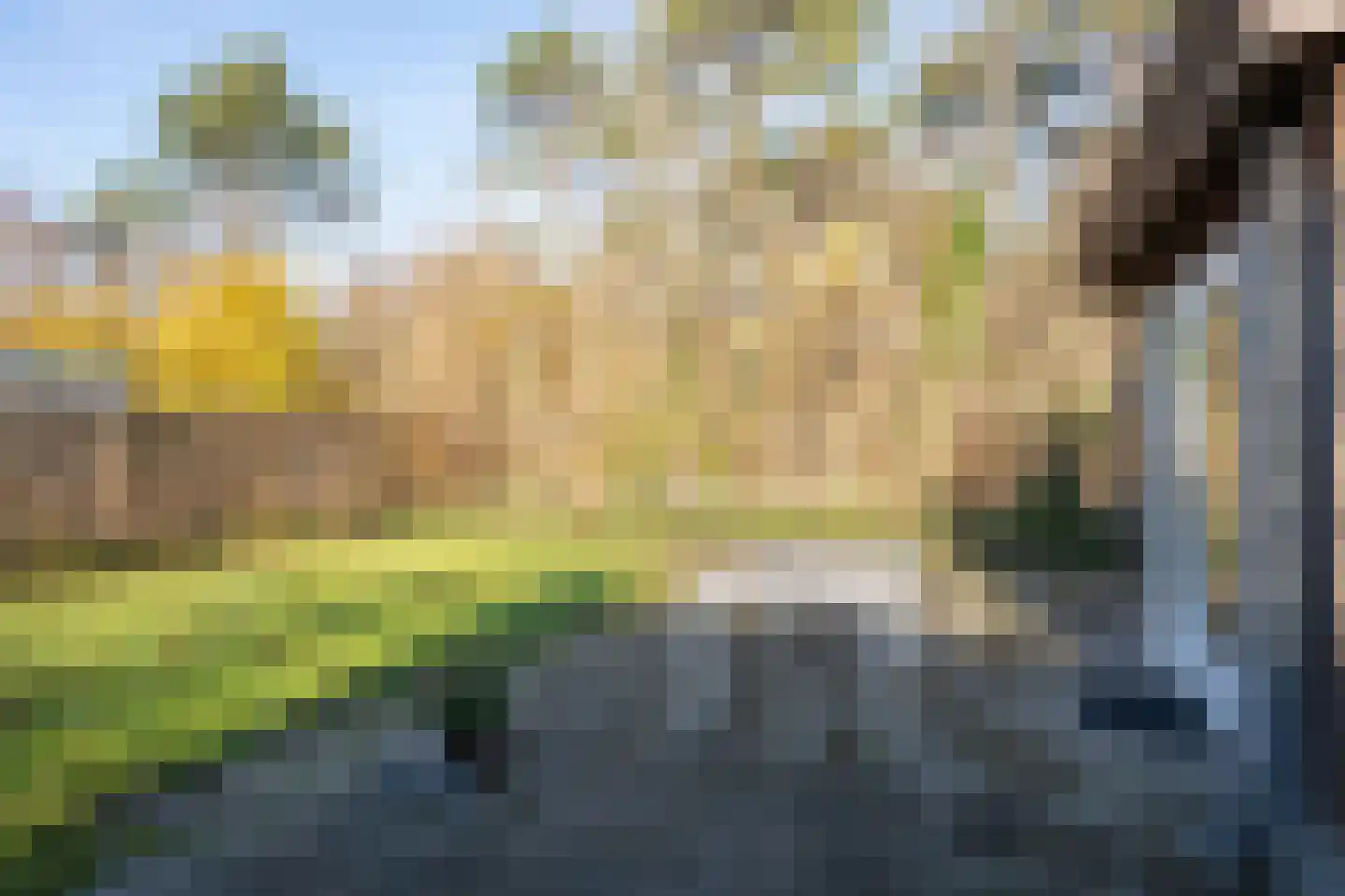 Californiëweg 176 De Koog thumbnail 27