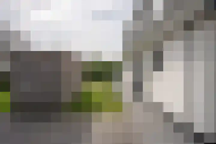 Californiëweg 21 De Koog thumbnail 37