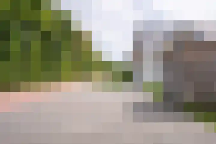 Californiëweg 21 De Koog thumbnail 39