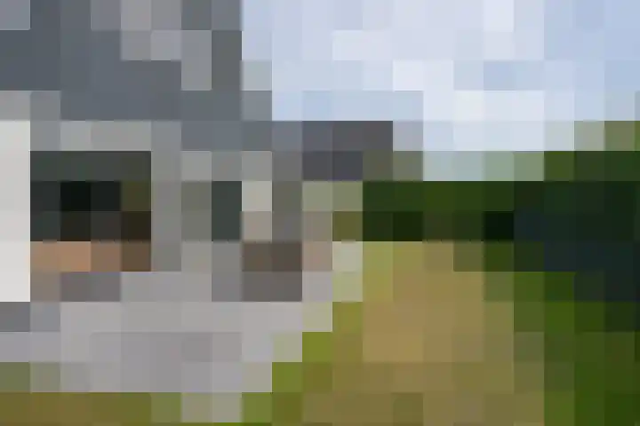 Californiëweg 21 De Koog thumbnail 40