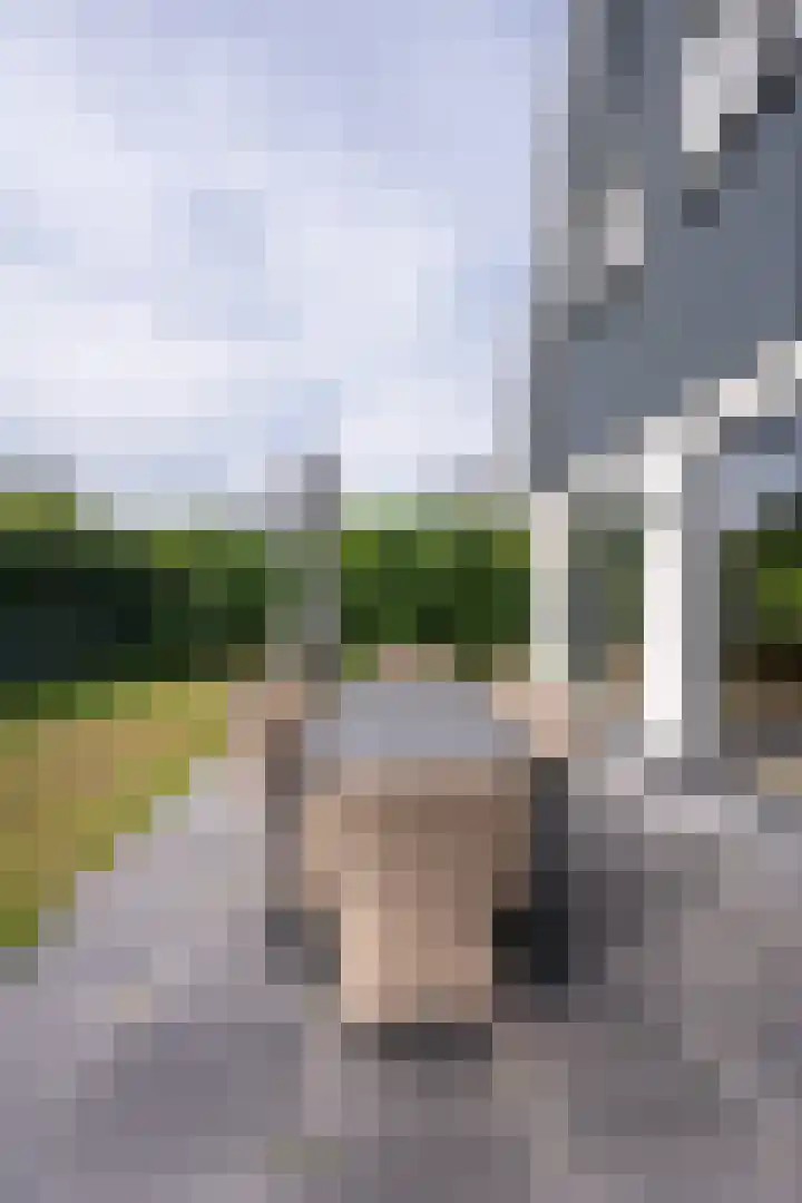 Californiëweg 21 De Koog thumbnail 42