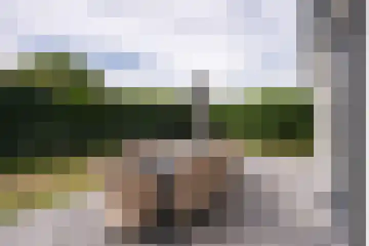 Californiëweg 21 De Koog thumbnail 43
