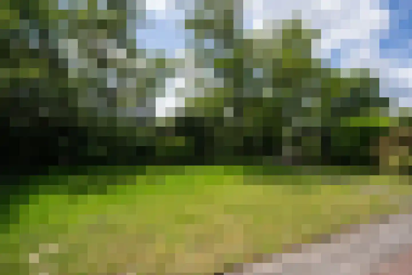 Californiëweg 291 De Koog thumbnail 36