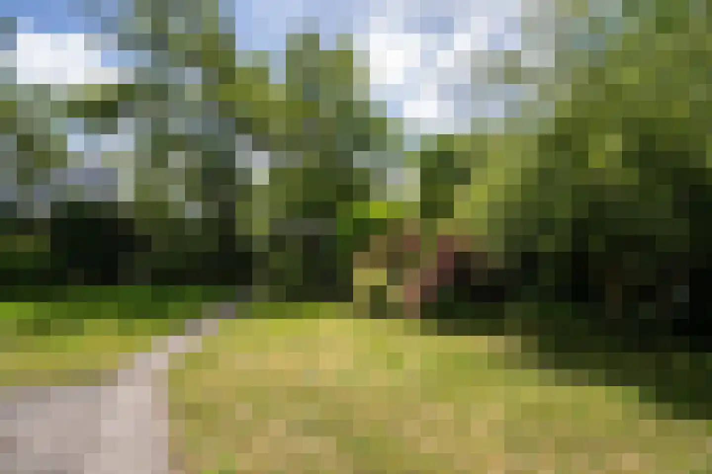 Californiëweg 291 De Koog thumbnail 47