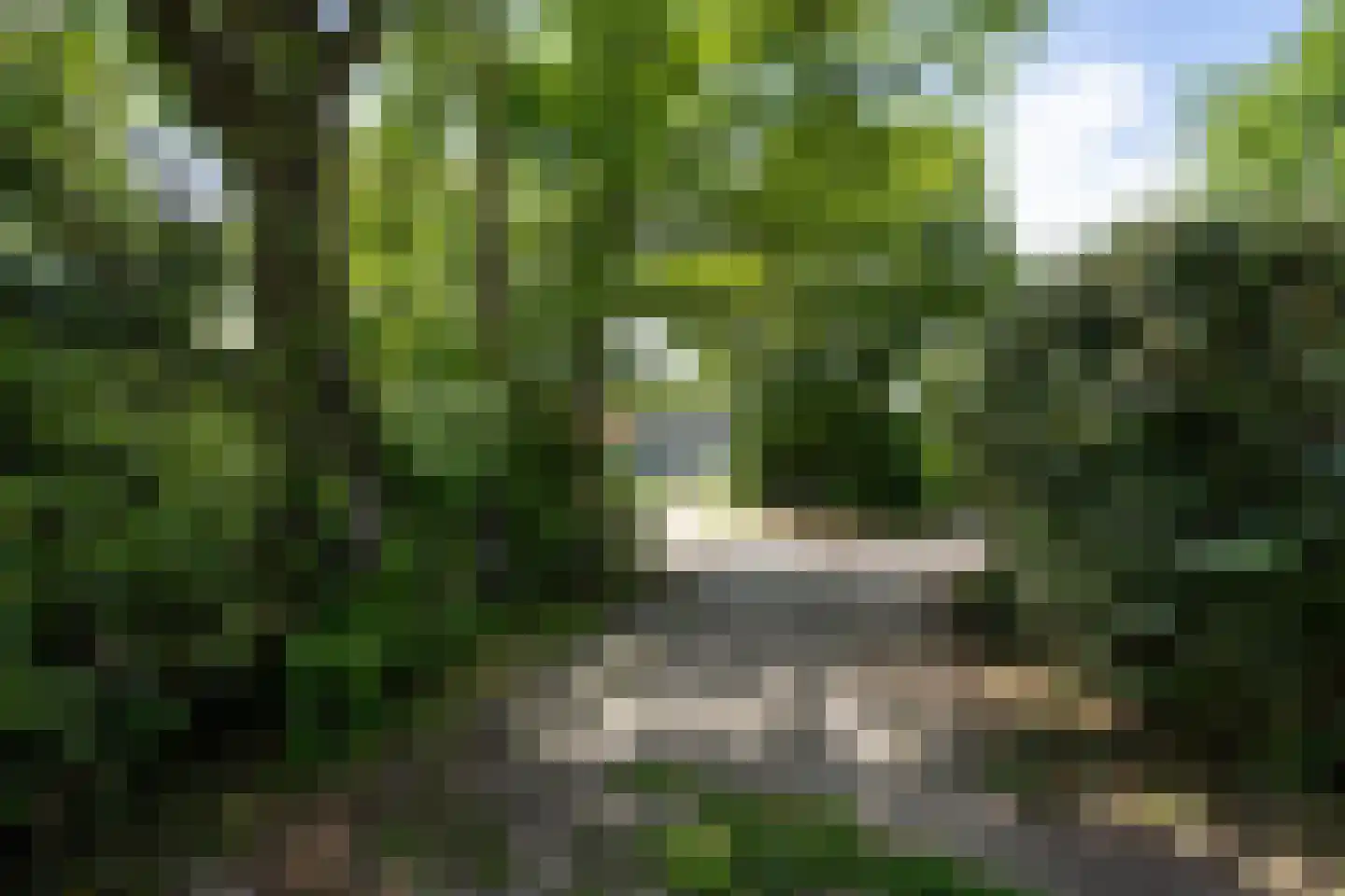 Californiëweg 291 De Koog thumbnail 49