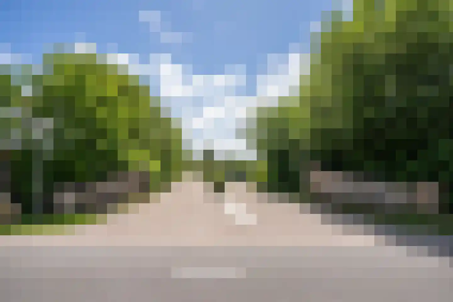 Californiëweg 291 De Koog thumbnail 52