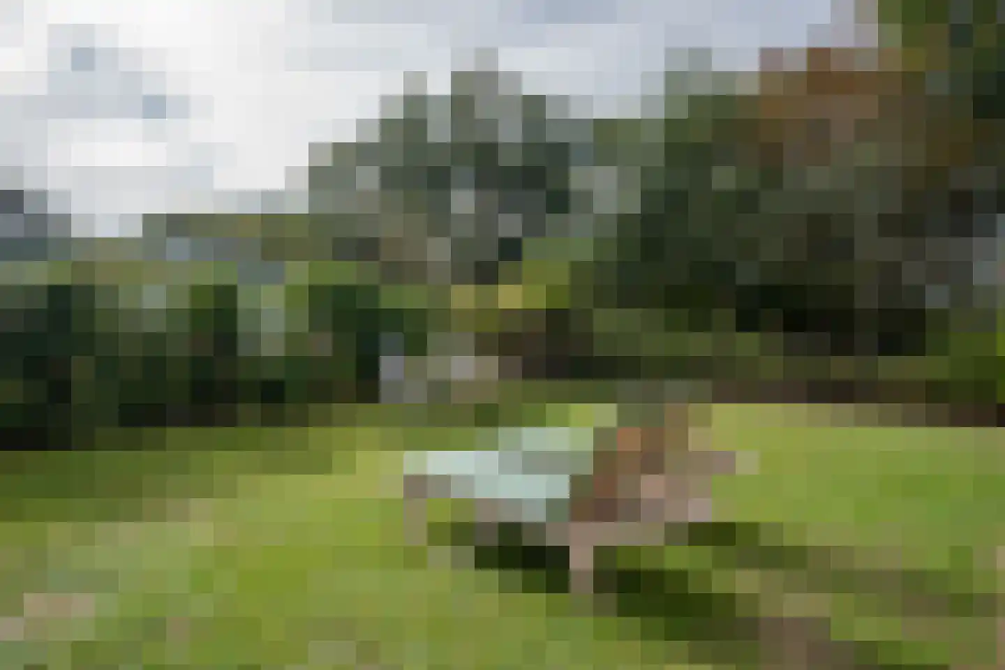 Californiëweg 345 De Koog thumbnail 21