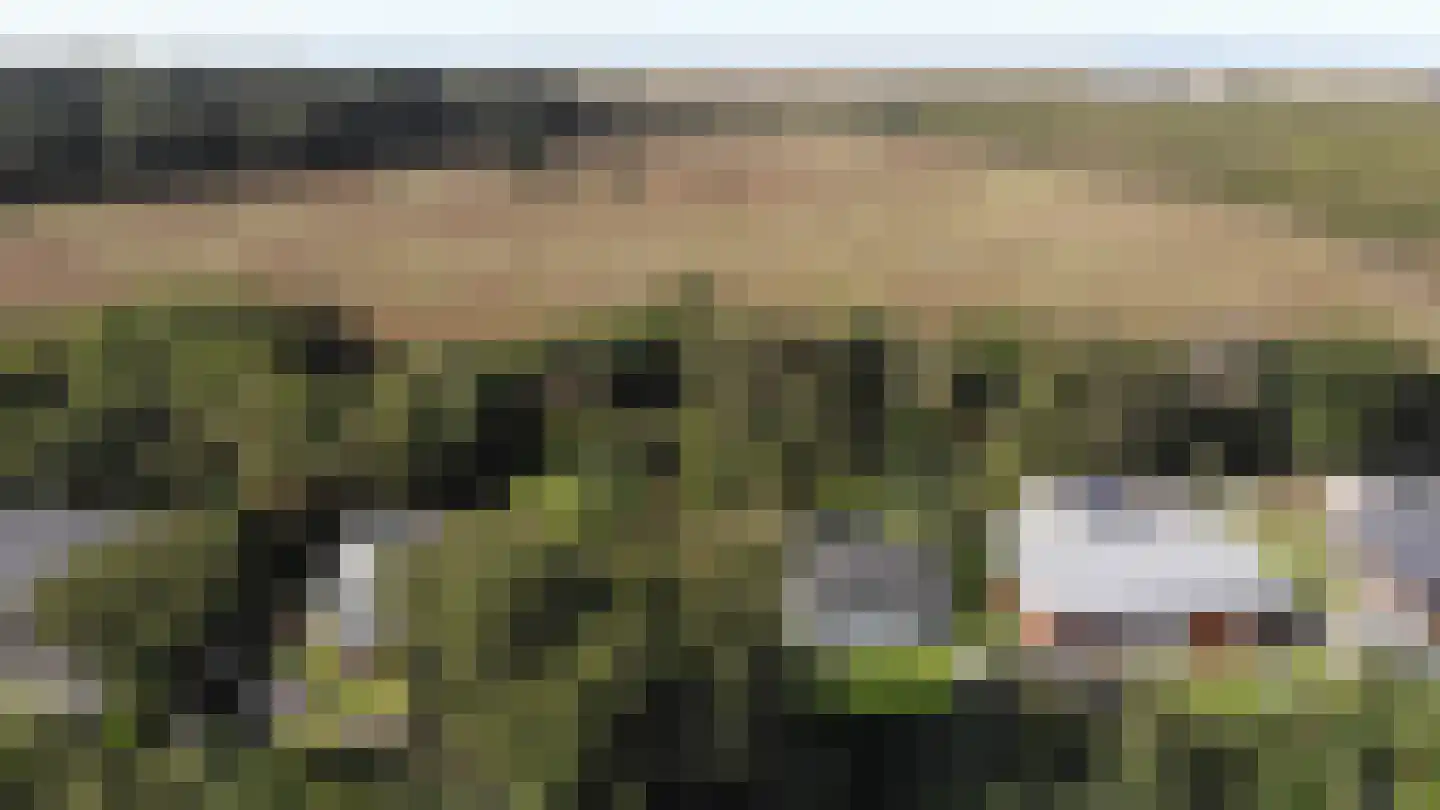 Californiëweg 345 De Koog thumbnail 29