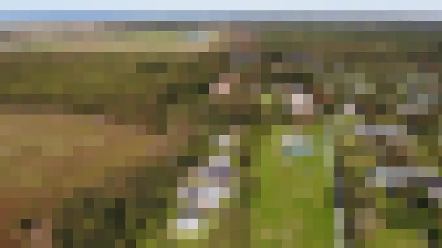 Californiëweg 345 De Koog thumbnail 30